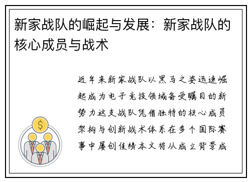 新家战队的崛起与发展：新家战队的核心成员与战术