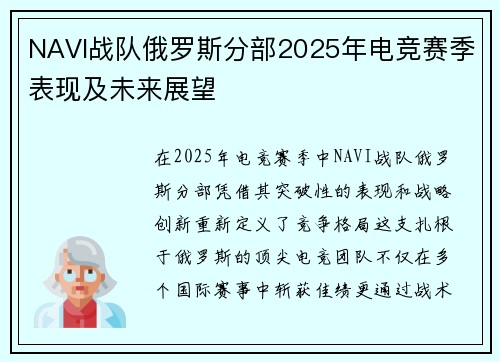 NAVI战队俄罗斯分部2025年电竞赛季表现及未来展望